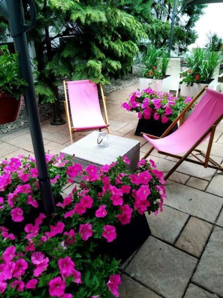 Hotel Jasek Premium